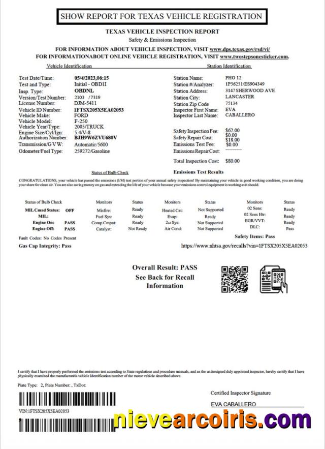 USA Texas vehicle inspection report